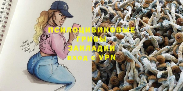 бошки Алзамай