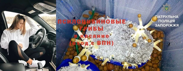 эйфоретик Осинники