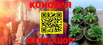 гидропоника Обь