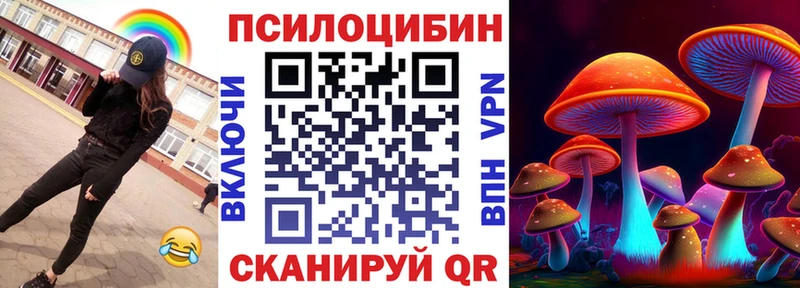 дарнет шоп  Серов  Псилоцибиновые грибы Psilocybe 